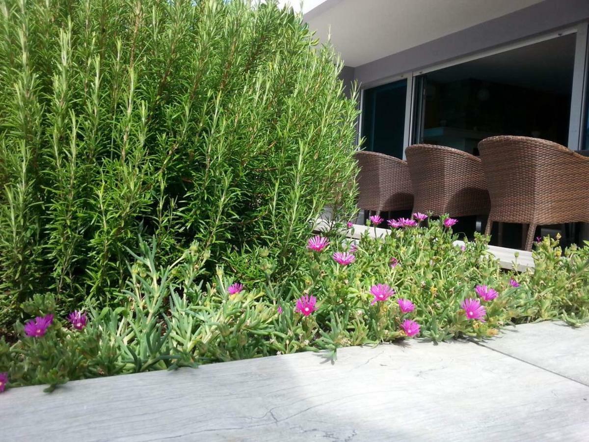 Apartment Nella קוסטרנה מראה חיצוני תמונה